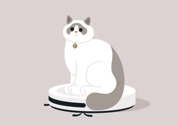 Vector illustration of A ragdoll cat enjoys a playful ride atop a wireless vacuum cleaner, showcasing the comical interaction between household pets and futuristic robots