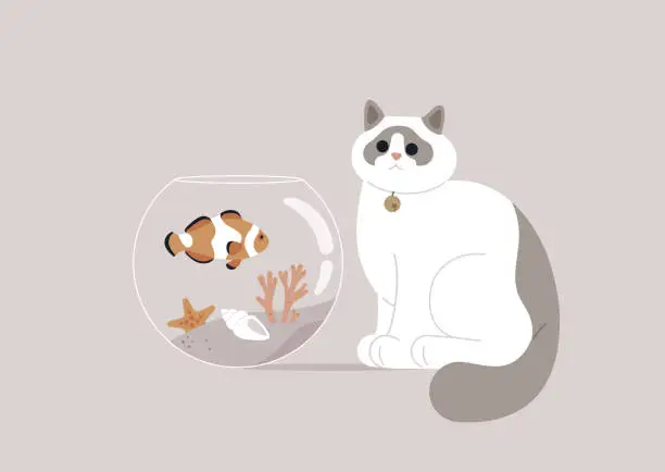 Vector illustration of With wide-eyed curiosity, a ragdoll gazes intently at the glass tank, captivated by the elegant dance of a clown fish gracefully navigating the aquatic wonderland within