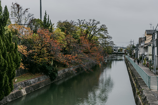 A canal in Fushimi Inari, Kyoto, Japan