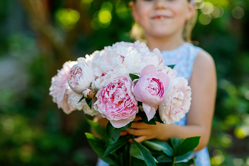 Cute adorable little preschool girl with huge bouquet of blossoming pink peony flowers. Portrait of smiling preschool child in domestic garden on warm spring or summer day. Summertime