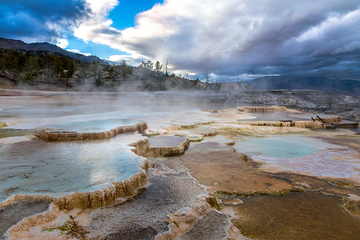 The geothermal terraces of Mammoth hot spring, Yellowstone National Park