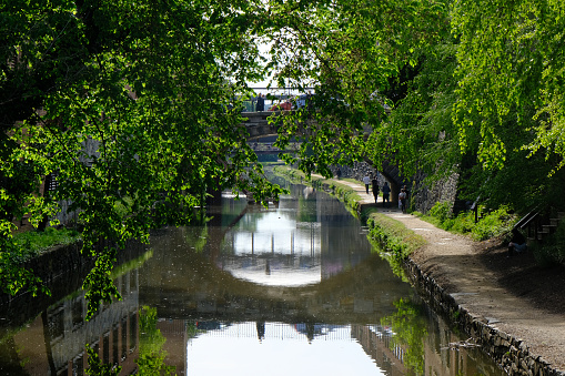 Photo overlooking a canal in Georgetown with summer foliage hanging over the waterway and a footpath on the right side.