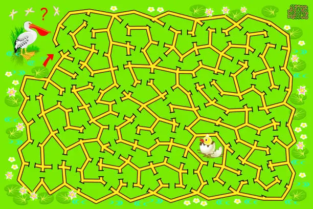 Vector illustration of Logical puzzle game with labyrinth for children and adults. Help the pelican find the way till the egg from which has hatched his baby. Printable page for kids brainteaser book. Vector cartoon image.