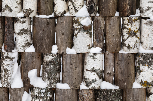 Wooden background of birch and pine logs with snow