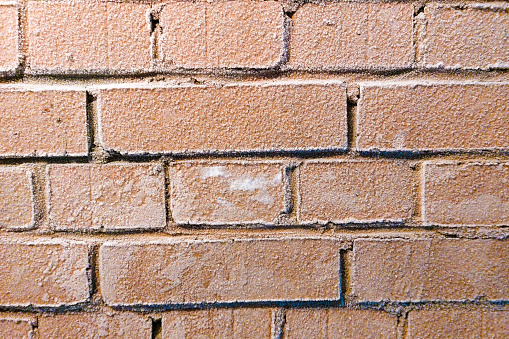 The brick wall is the color of Peach Fuzz. The background is brick. Trendy color. High quality photo