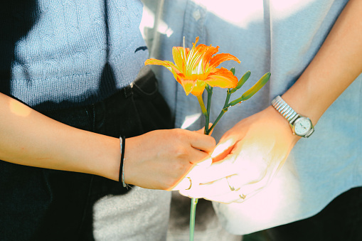 Cute couple holding a flower and wearing couple rings. Young man giving flowers at his girlfriend for San Valentine's day. Sunlight, spring and fresh concept