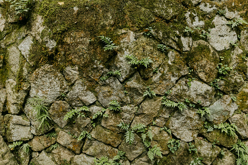 Moss-covered stone wall