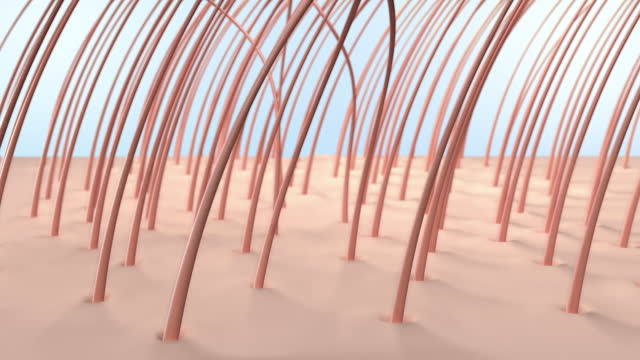 Hair loss 3d animation