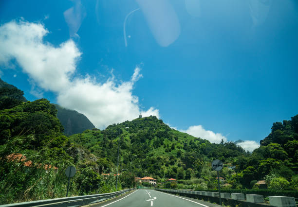 An empty highway surrounded by trees in Madeira, Portugal