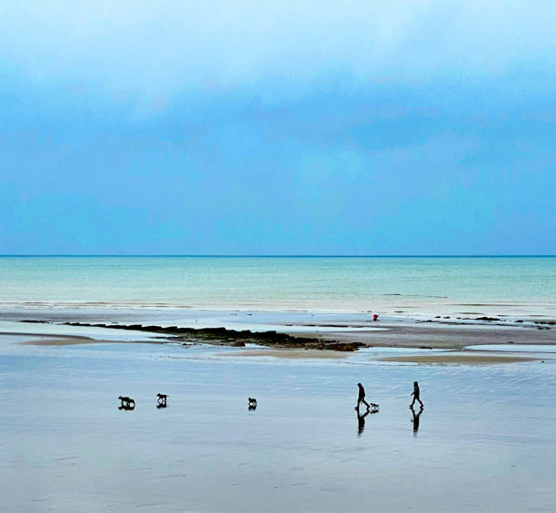 Man and dog, sitting on the beach, playing with a ball