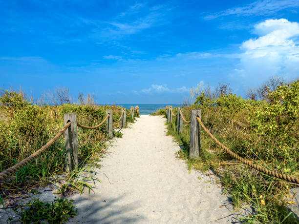istock White sandy beach footpath at tropical Island 1927583594