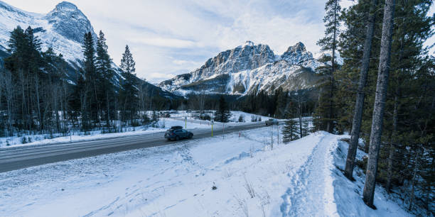 istock Nature on a sunny day in winter. 1927606897