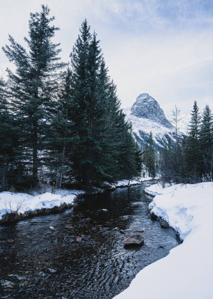 istock Nature on a sunny day in winter. 1927606902
