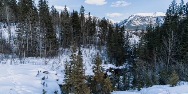 istock Nature on a sunny day in winter. 1927607459
