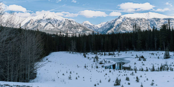 istock Nature on a sunny day in winter. 1927609114