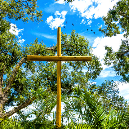 Close up wooden religious cross in nature