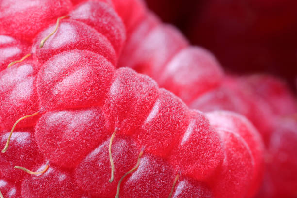 istock Texture of fresh ripe raspberry, macro view 1927630494