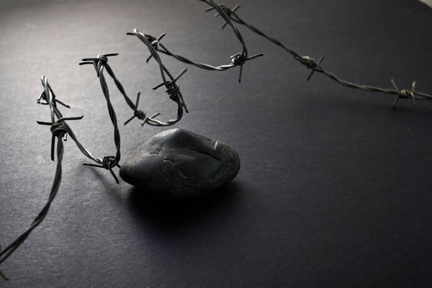 International Holocaust Remembrance Day. January 27.