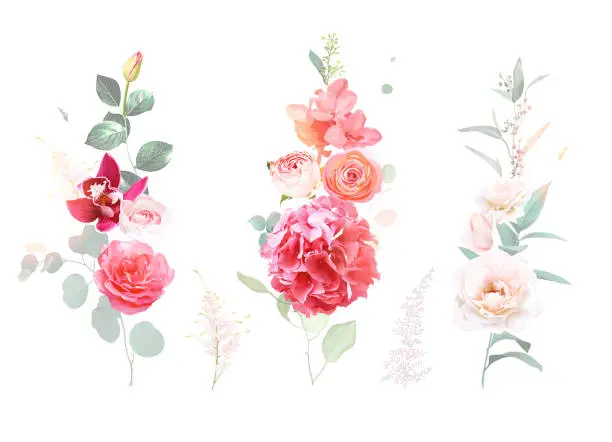 Vector illustration of Colorful valentines day vertical garlands. Bright pink rose, hot pink hydrangea, coral peachy ranunculus, magenta orchid