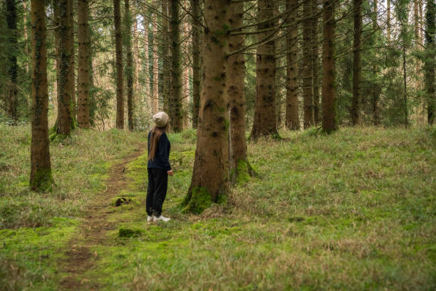 A white woman, with brown hair and a veis hat, in an Irish forest with green and brown tones through the trees