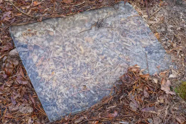 Photo of one old gray square sheet of glass lies on brown fallen leaves