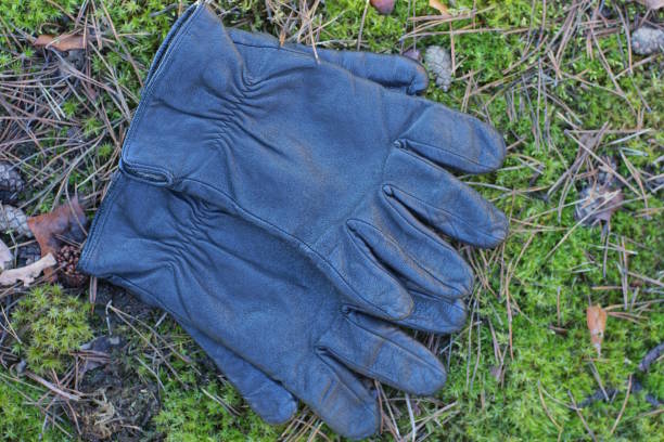 two black leather gloves lie on the ground and green moss outdoors in nature