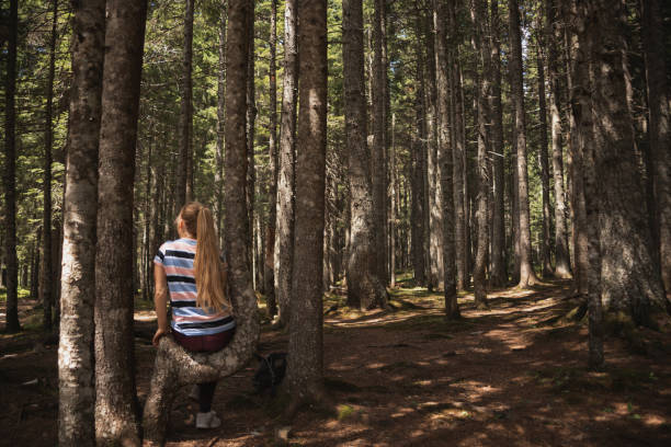 istock Young woman sitting on tree trunk in pine forest 1927748797