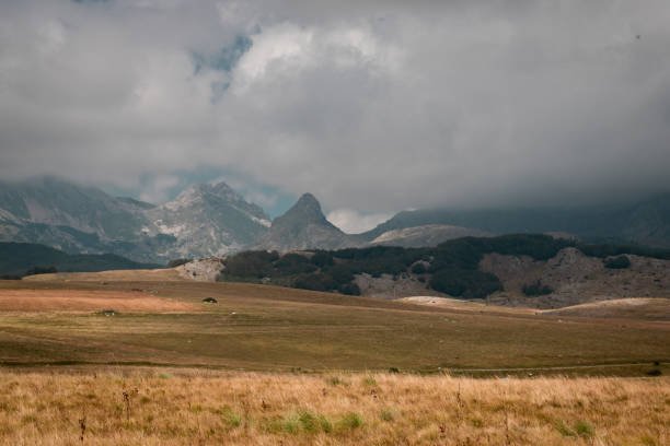 Dried grass landscape and mountains on cloudy day