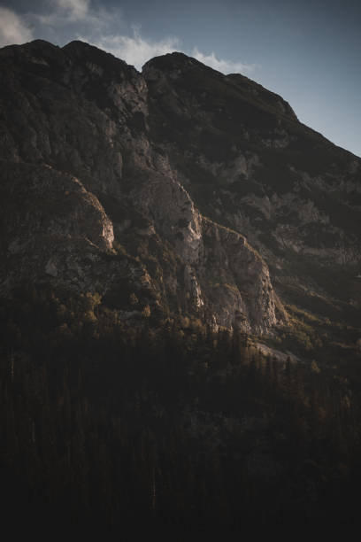 Mountain peak and pine trees on cloudy day