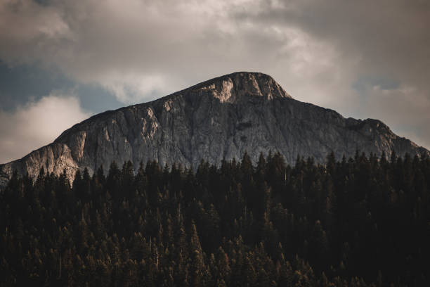Mountain peak and pine trees on cloudy day