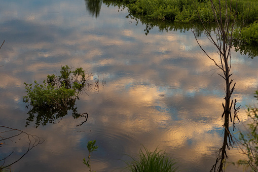a pond with reflections of clouds in the sky and trees on the shore, filmed in Chuvashia in early June