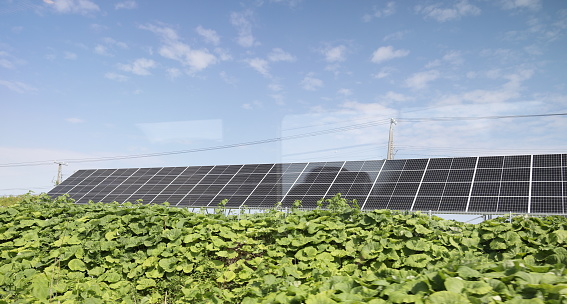 Kushiro, Japan - June 6, 2023: Solar panels stand among crops east of Onbetsu Station in Kushiro Subprefecture. Spring morning in Hokkaido Prefecture.