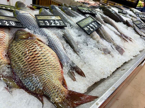 Supermarket Display of Premium Freshwater Fish. Supermarket display, Fish counter, Grocery shopping, Fresh fish selection, Fish market display