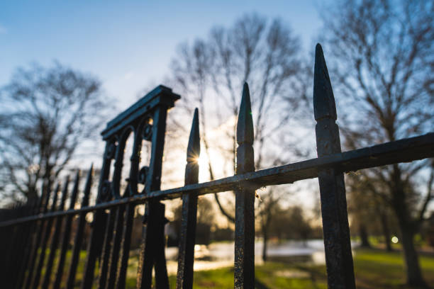 Iron fence in Park