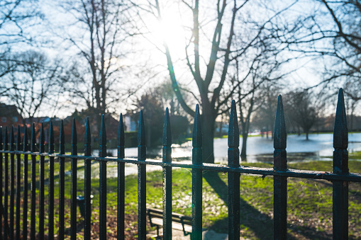 Iron fence in Park