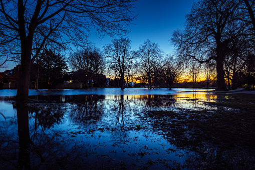 A pond in a wood