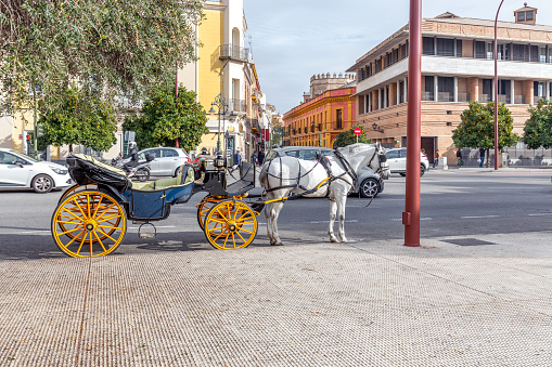 Old horse drawn carriage at Seville street, Spain