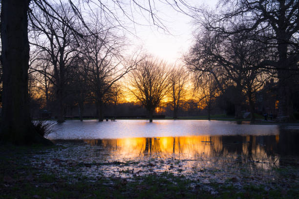 a pond in a wood - winter lake snow water zdjęcia i obrazy z banku zdjęć