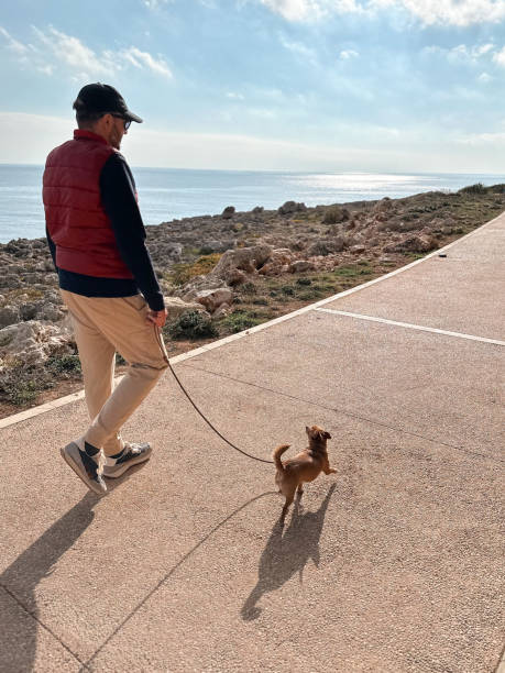 istock Man walking with their chihuahua dog 1927906938