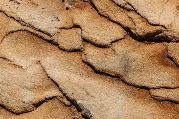 istock Detail of paramoudras in the cliffs of Jaizkibel 1927907025
