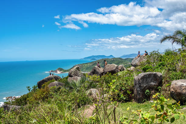 Florianopolis, Argentina - Dec 24, 2023: Vegetation , rocks and beach at Galheta beach, Morro da Galheta, Florianopolis, Santa Catarina, Brazil
