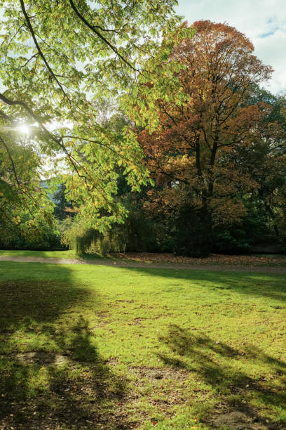 Urban park on sunny day in autumn