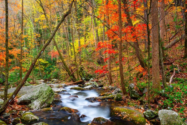 istock Smith Creek flowing from Anna Ruby Falls, Georgia, USA 1927932185