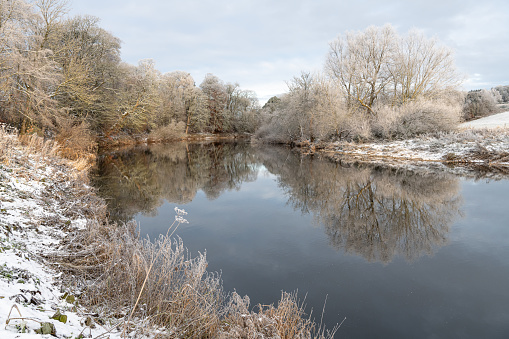 Reflections of snow covered trees in the River Teviot, Scottish Borders, United Kingdom