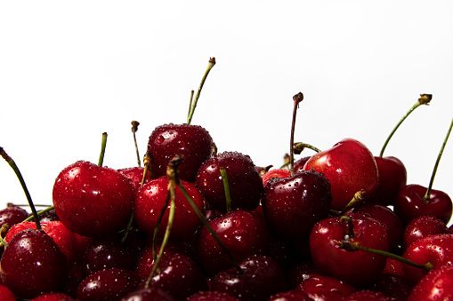 Fresh organic sweet cherries with water droplets on white background
