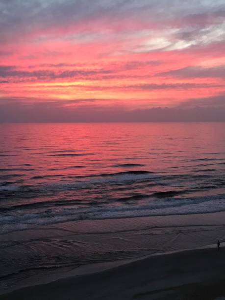 istock Photo from my hotel in Florida 1928102110