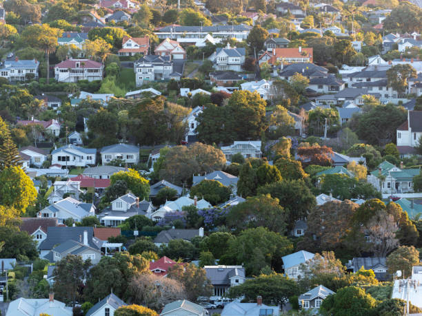 istock Central Auckland view from Mount Eden 1928145537