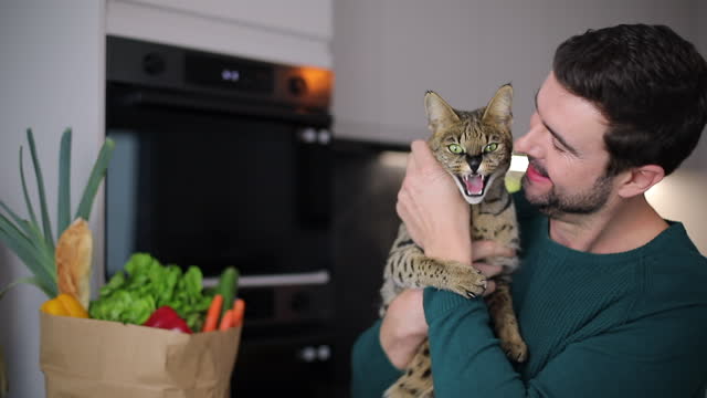 Funny video of man and with mischievous cat
