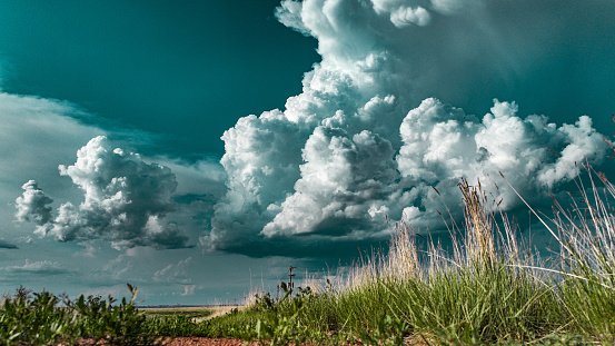 A majestic thunderhead rises above a vibrant Wyoming landscape, its billowing clouds contrasting against a lush green grassy field, creating a captivating display of nature's power and beauty.