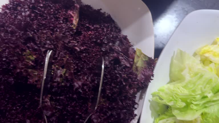 Variety of green leaf vegetables on brunch buffet